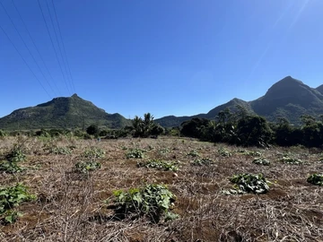 Agricultural Land