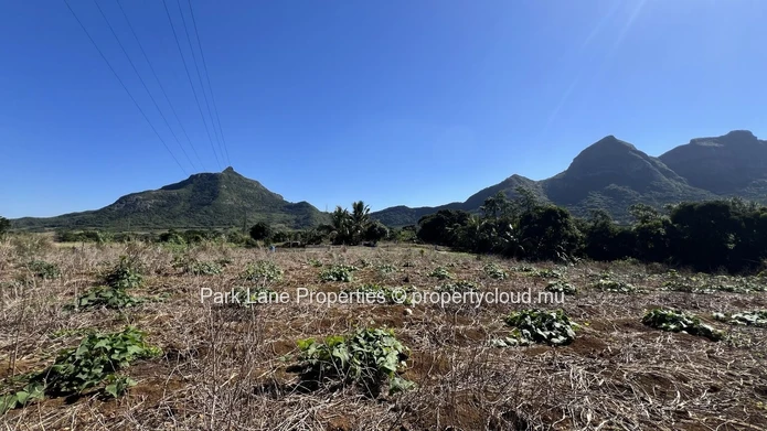 Terrain agricole avec vue panoramique sur les montagnes – L’Avenir