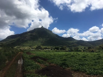 Agricultural Land