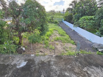 Tranquil Coastal Living: Charming home in peaceful area