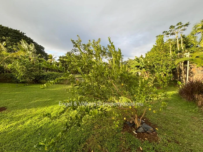 Beautiful 1,160 m² Residential Plot Ready to Build On – Tropical Garden Oasis for Mauritian Citizens