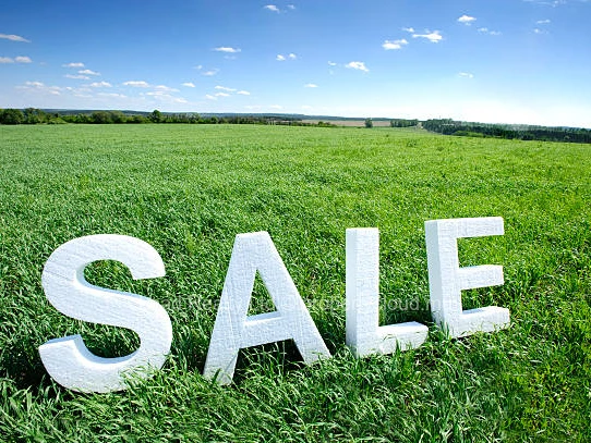 Land For Sale At Balaclava