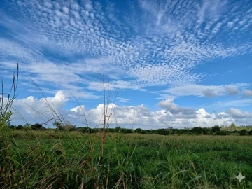 Terrain Agricole