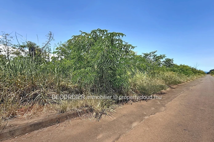 Terrain Résidentiel de 3 Arpents à Vendre – Balaclava