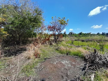 Residential Land
