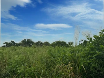 Agricultural Land For Sale In Melrose