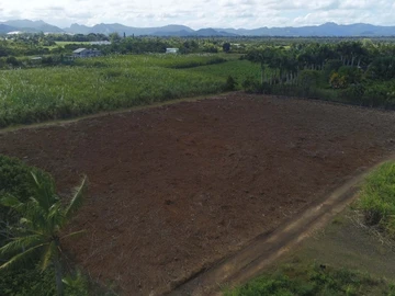Land