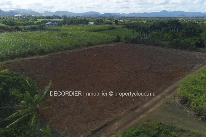 Terrain agricole à vendre – Deux Bras