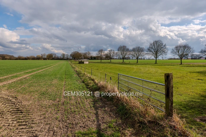 Residential Land for Sale – Arsenal, Pamplemousses 2 Lots Available 