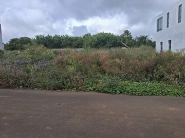 Residential Land