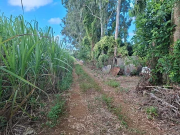 Agricultural Land