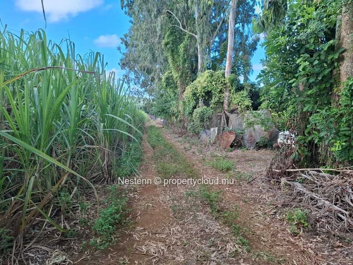 Land of 4965.12 m² 2.8 kms from main road.