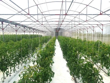 Agricultural Land