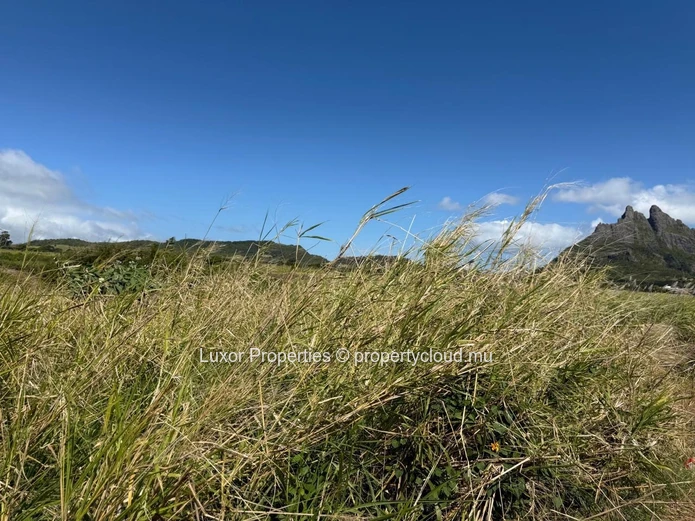 AGRICULTURAL LAND FOR SALE – Vacoas La Caverne