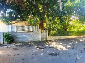 Immobilier Commerciaux
