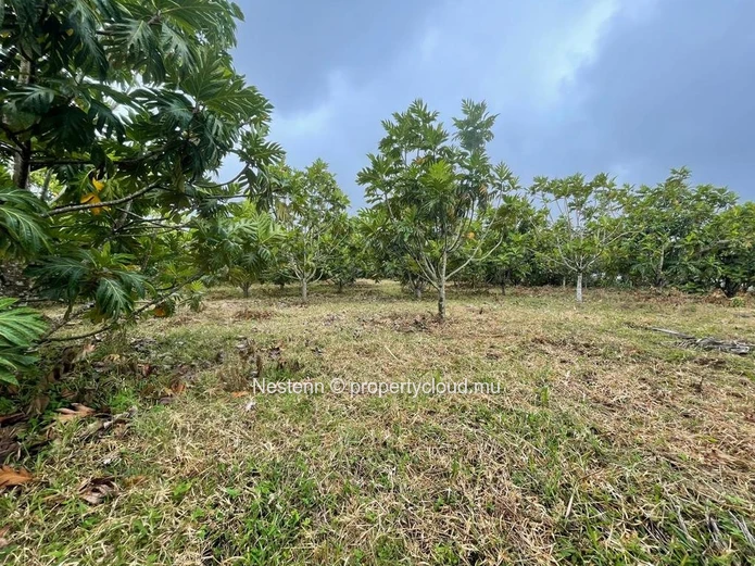 Terrain agricole de 103,2 Perches/4 357,92 m² 