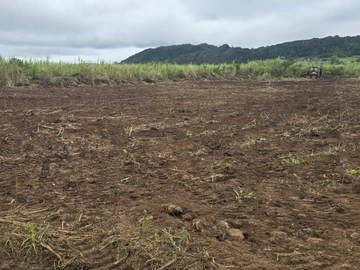 Agricultural Land