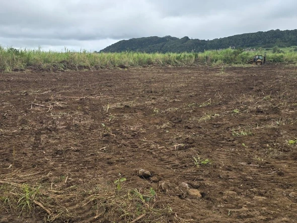 Terrain Agricole