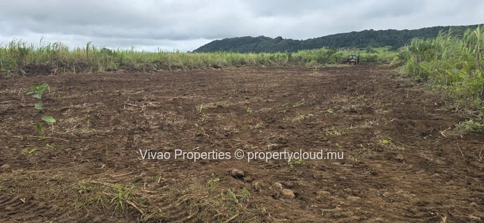 Terrain agricole de 4 216 m² à vendre à Mare d'Albert