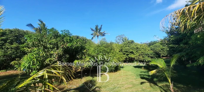 Foret Daruty-  Terrain A Vendre