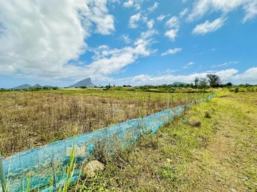 Terrain Agricole