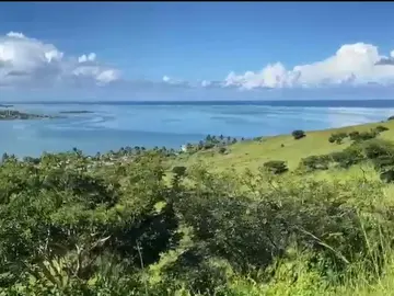 Land In Pointe Aux Feuilles