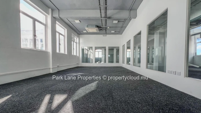 Professional office space with mezzanine in the heart of Rose Hill