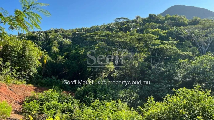 Enchanting Oasis Near Chamarel