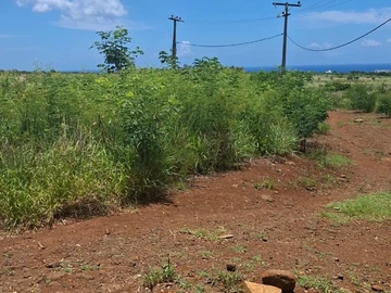 Residential Land