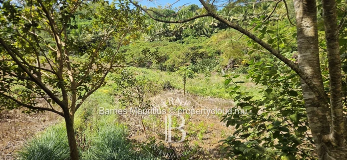 2 Bras - Terrain Agricole - 31 Arpents