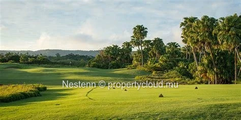 Prime residential land in Avalon Golf Estate 