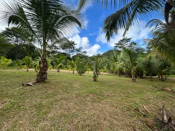 Terrain