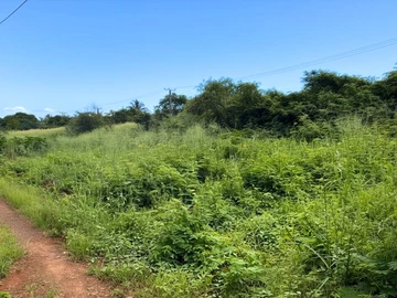 Residential Land