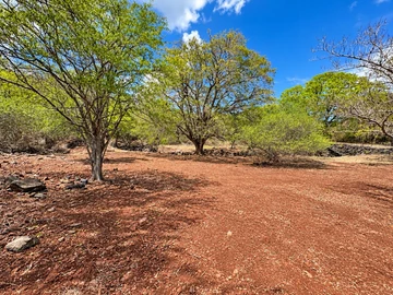 Residential Land