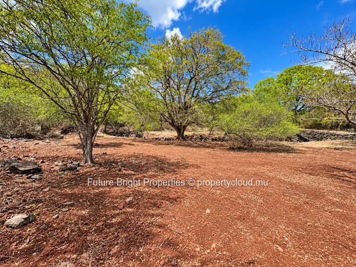 Terrain Exceptionel a vendre au Domaine de Palmyre