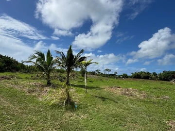 Land