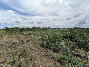 Terrain Résidentiel