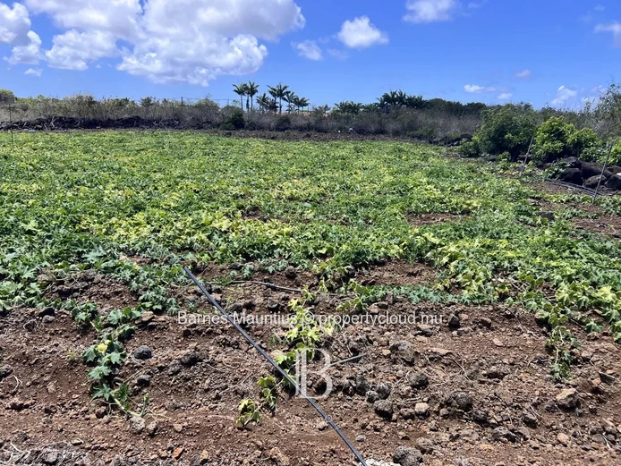 Calodyne - Residential Land - 2 acres