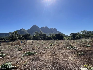 Agricultural Land