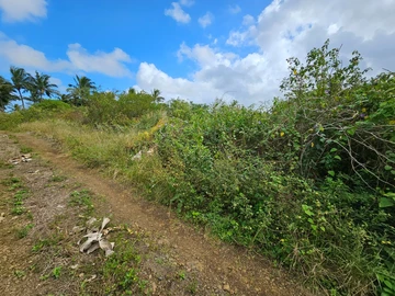 Agricultural Land