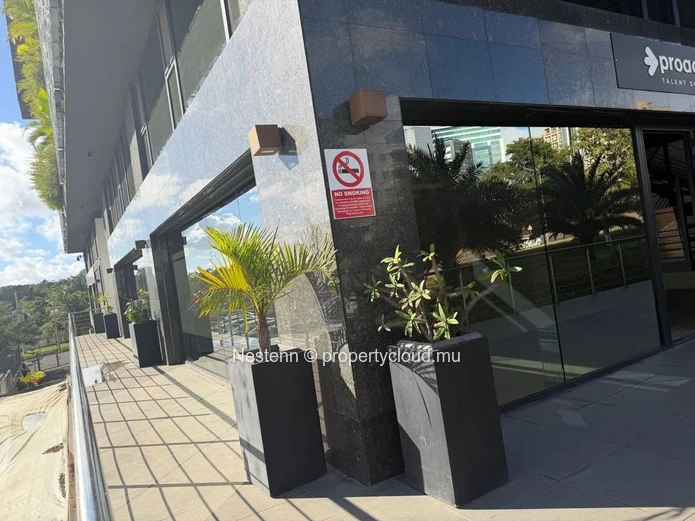 Espaces bureaux de 246m2