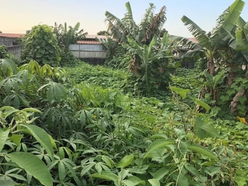 Residential Land