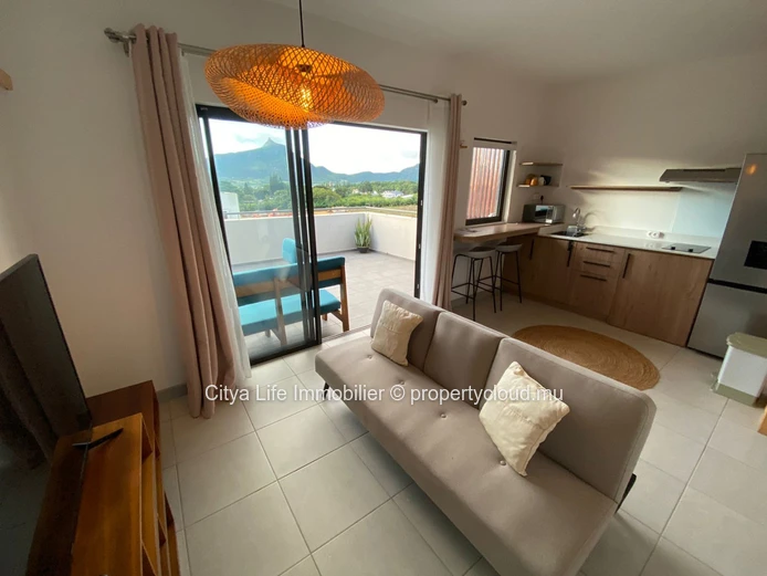 Small Studio in  Moka Smart City