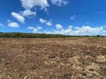 Terrain Agricole