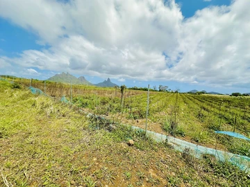 Terrain Agricole