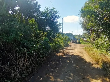 Agricultural Land