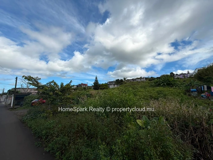 Terrain Résidentiel à Vendre – 16ème Mille, Forest Side