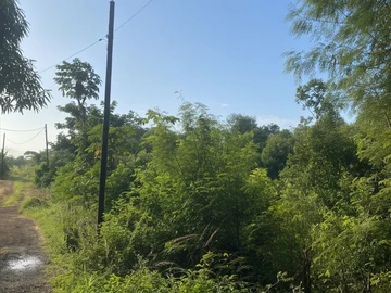 Terrain Résidentiel