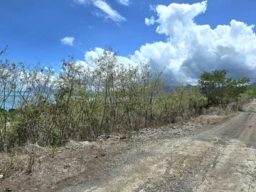Terrain