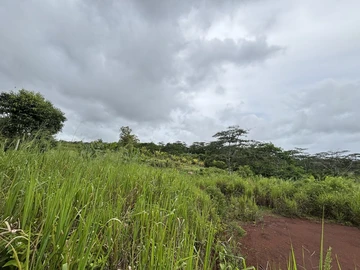 Agricultural Land